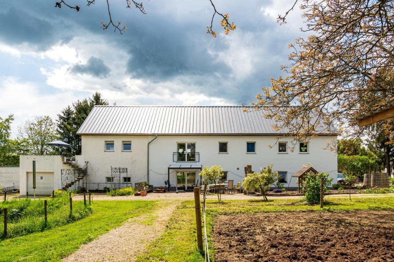 Eifel-Apartments Orsfeld Exterior foto